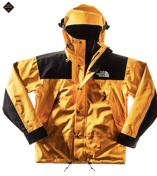 THE NORTH FACE 1990 MOUNTAIN JACKET GTX® US限定 NAVY