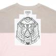 CES23CS12 CURVED SWITCH CREW NECK PINK