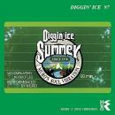 Diggin'Ice Summer 97-Remaster Edition-