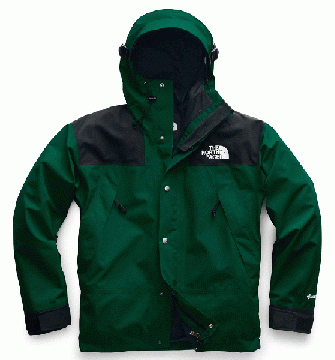 THE NORTH FACE 1990 MOUNTAIN JACKET GTX® US限定GREEN